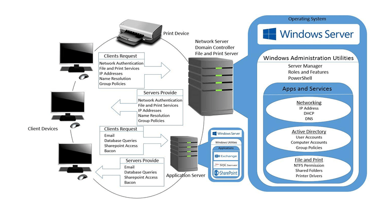 A Windows Client/Server Network