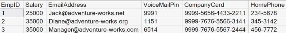 Displays the three records unmasked for admin account.