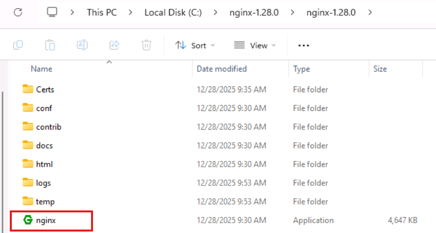 Execute nginx-1.28.0 