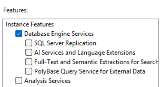 Feature Selection for Database Engine Service for SQL Server 2025