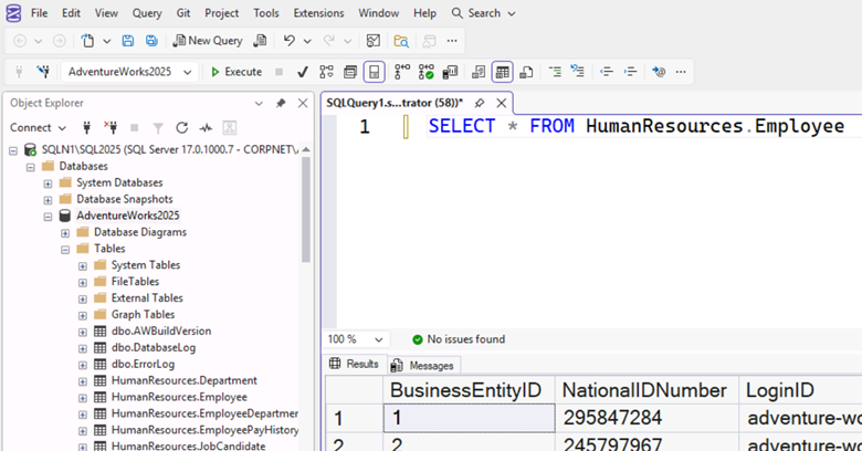 Verify successful installation of the AdventureWorks2025 database.