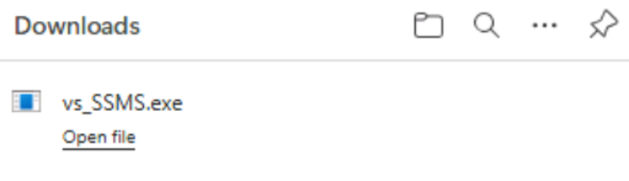 SSMS.ext Downloaded File
