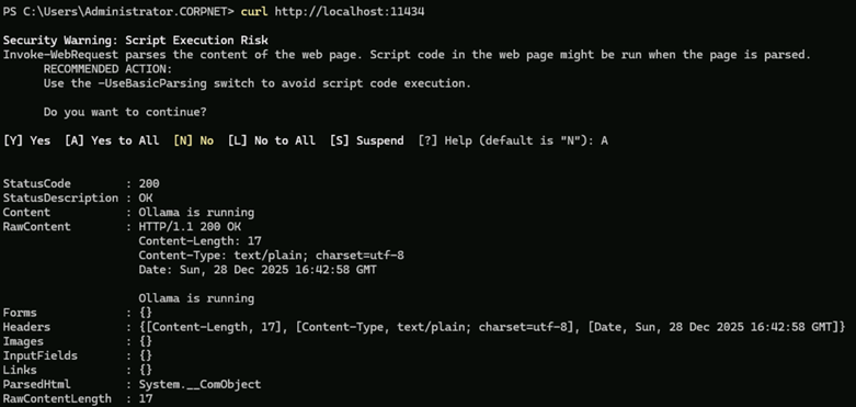 Curl Security Warning on Script Execution Risk.