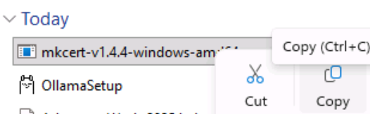 mkcert-v1.4.4-windows-amd64.exe file in downloads