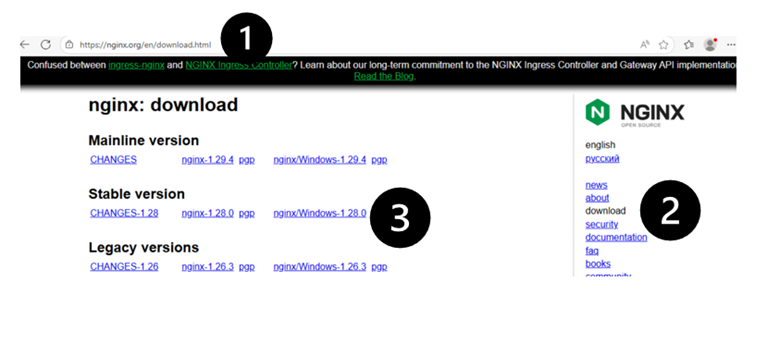 Nginx Download screen