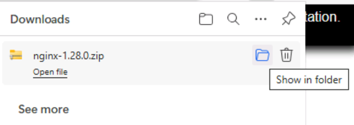 Downloaded the nginx-1.28.0.zip file,