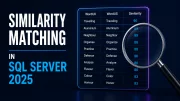Similarity Matching in SQL Server 2025