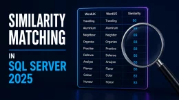 Similarity Matching in SQL Server 2025